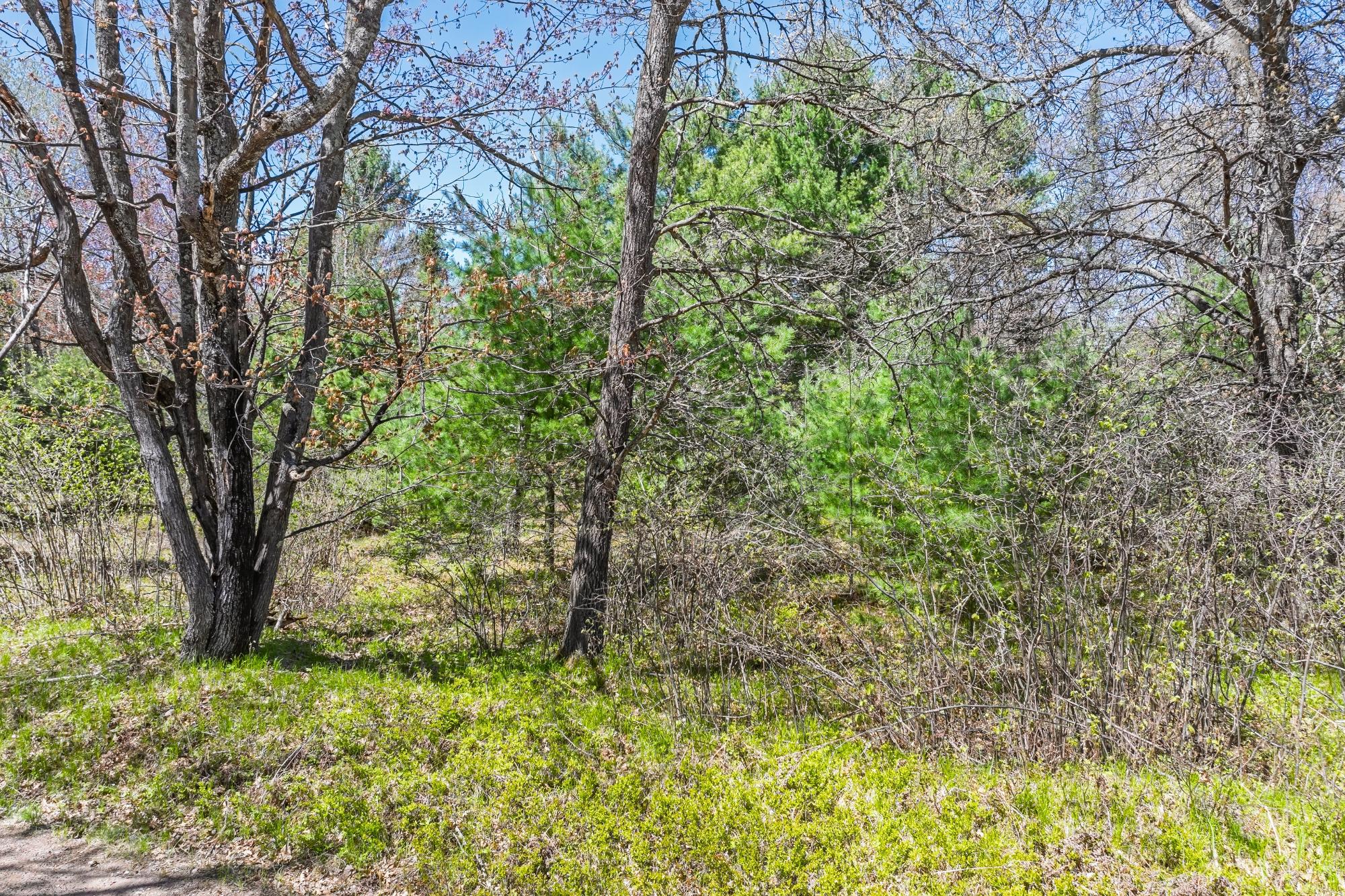 River Property Property Off River Rd Photo 4