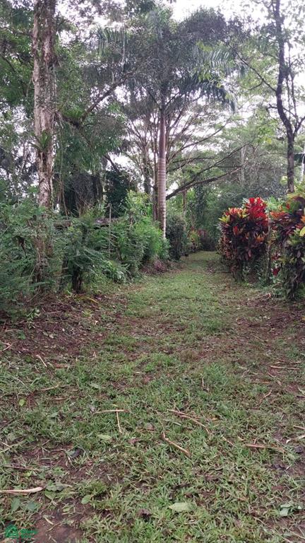  bed Land For Sale in San Carlos, Alajuela - 1