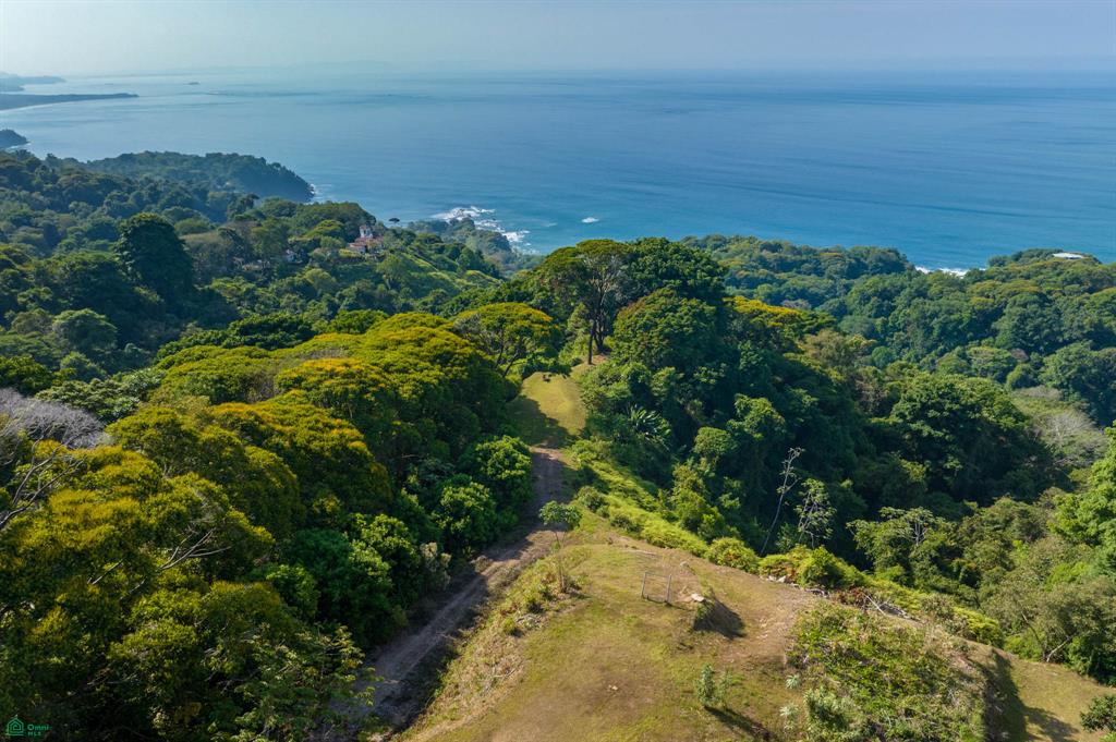  bed Land For Sale in Bahía Ballena, Puntarenas - 1