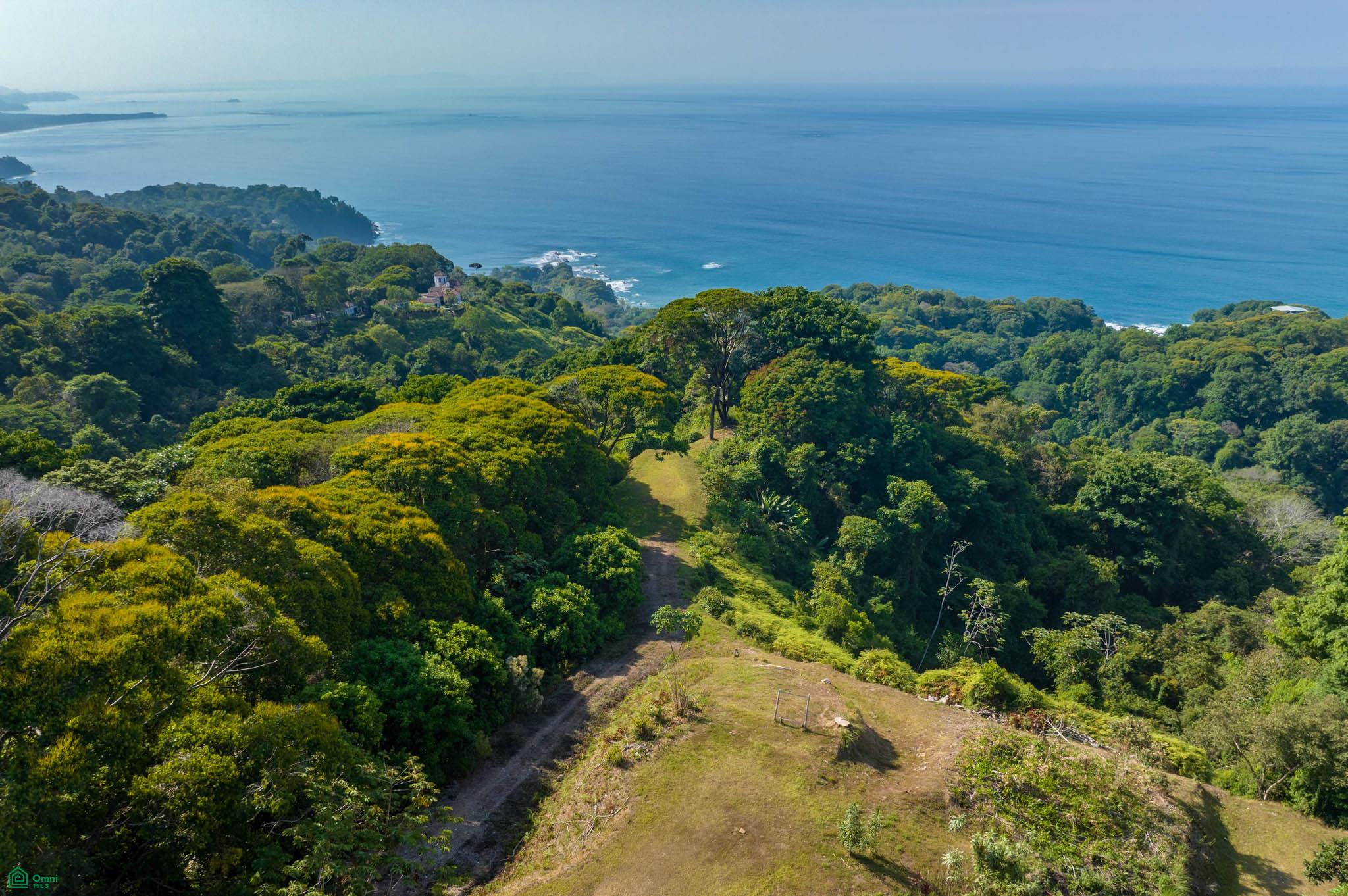  bed Land For Sale in Osa, Puntarenas - 1