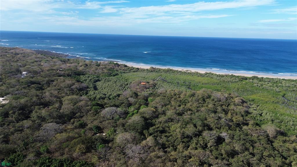  bed Land For Sale in Santa Cruz, Guanacaste - 1