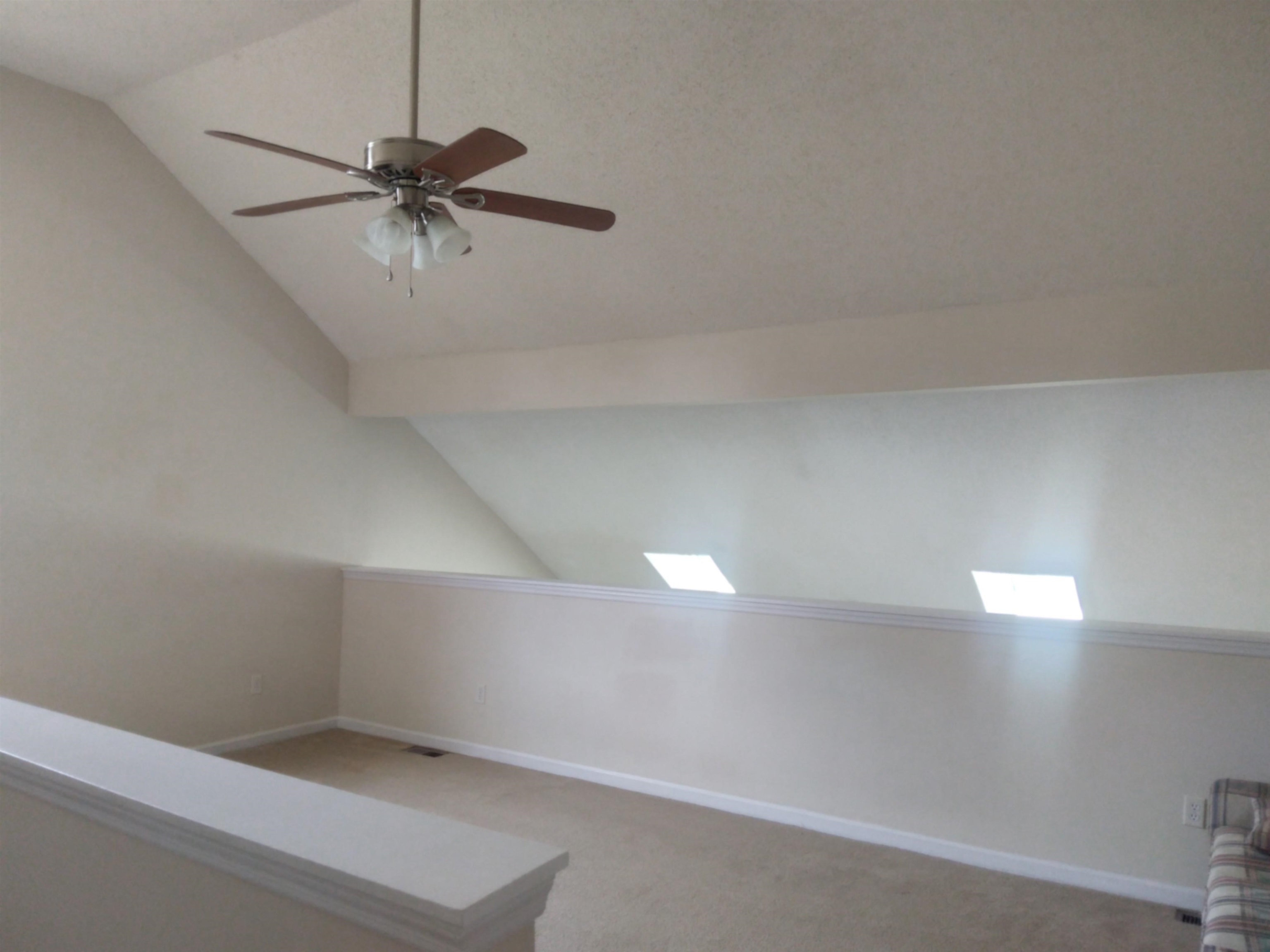2613416 | Photo 29