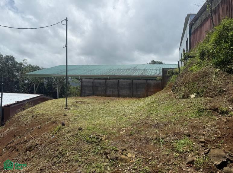 0 bed Land For Sale in San Carlos, Alajuela - 1