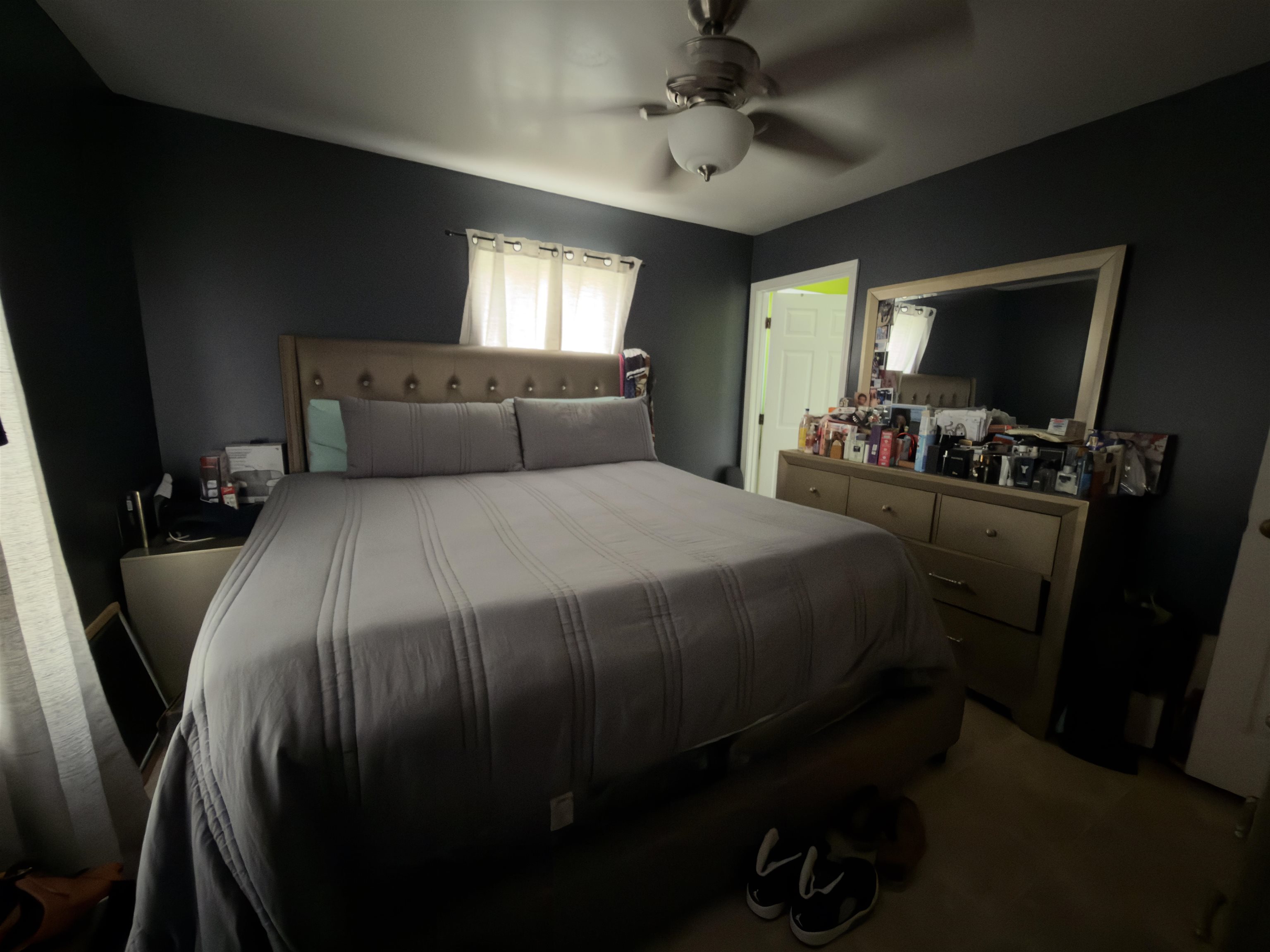 2613555 | Photo 13