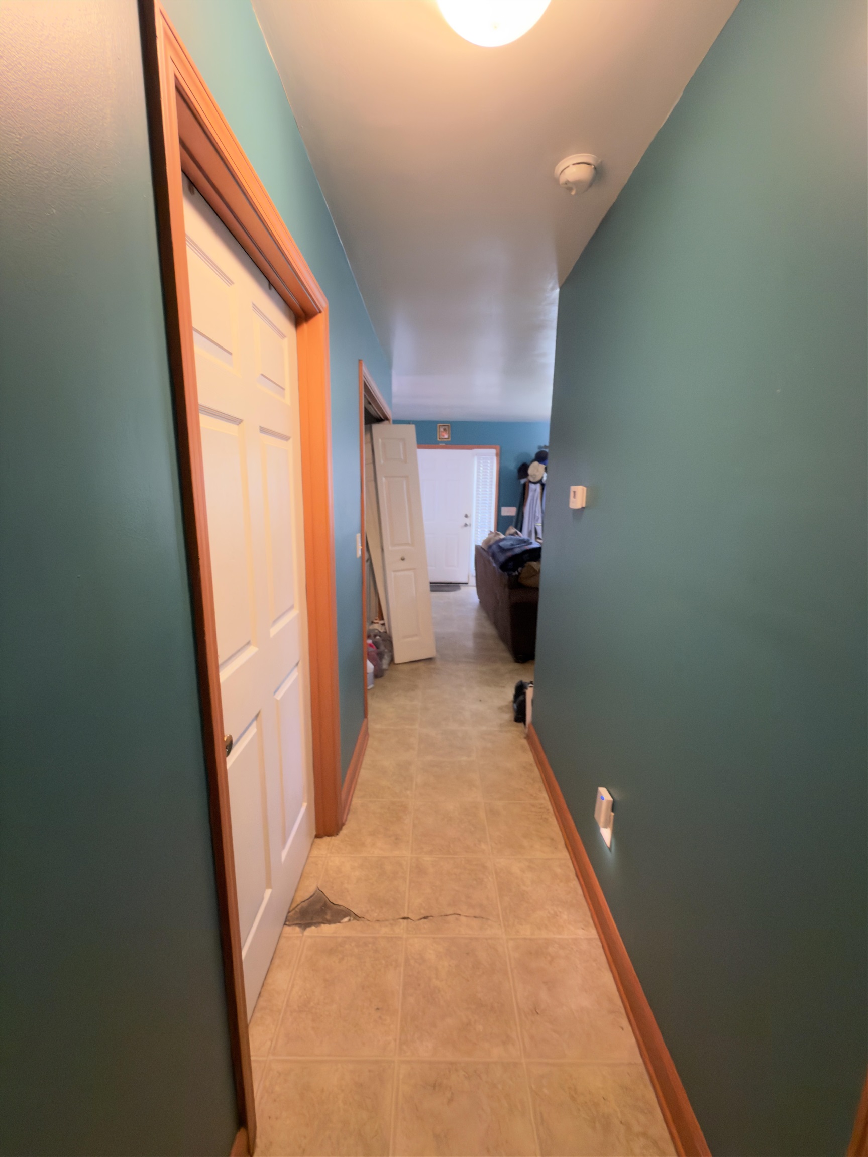 2613555 | Photo 16