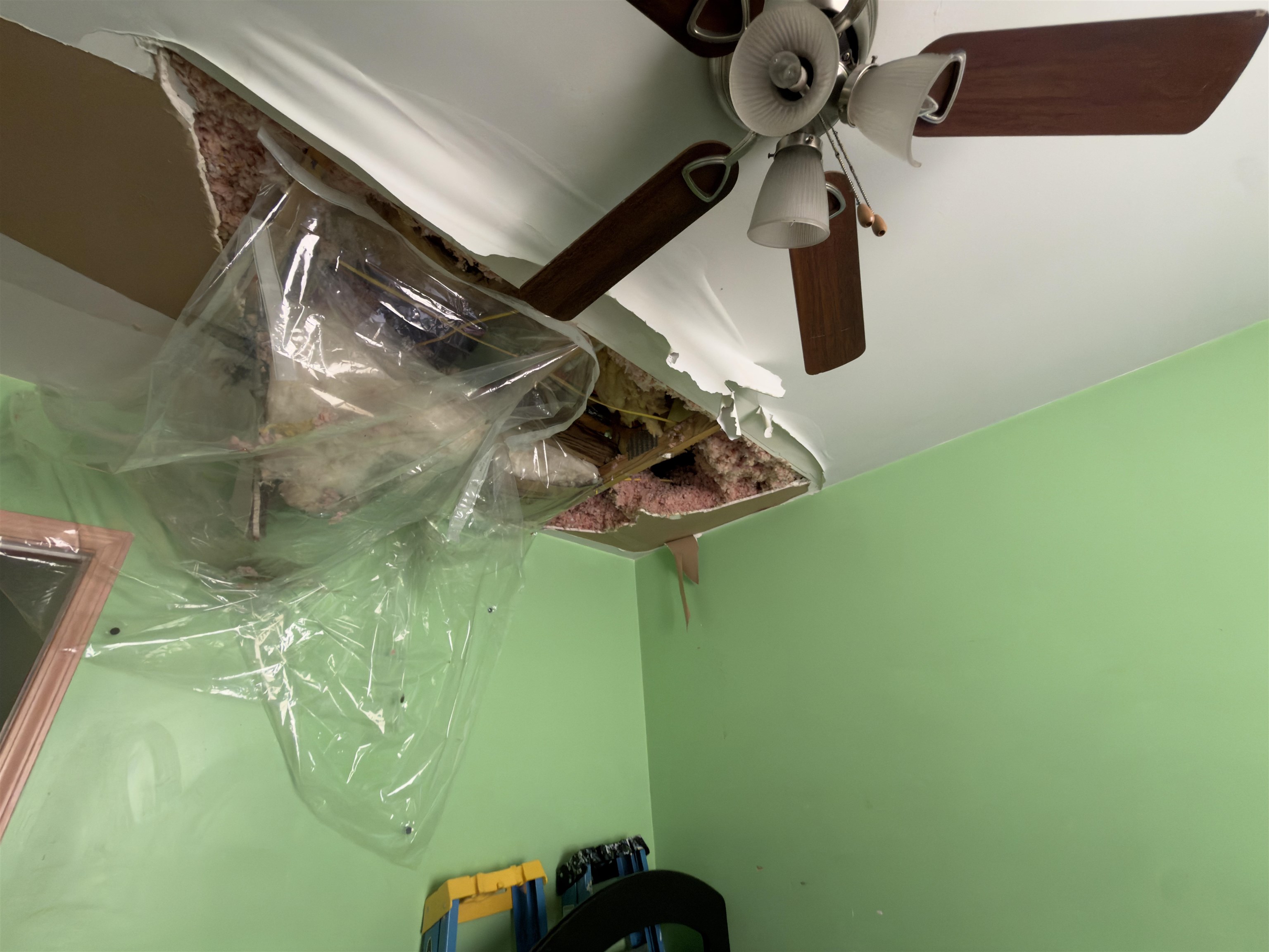 2613555 | Photo 22