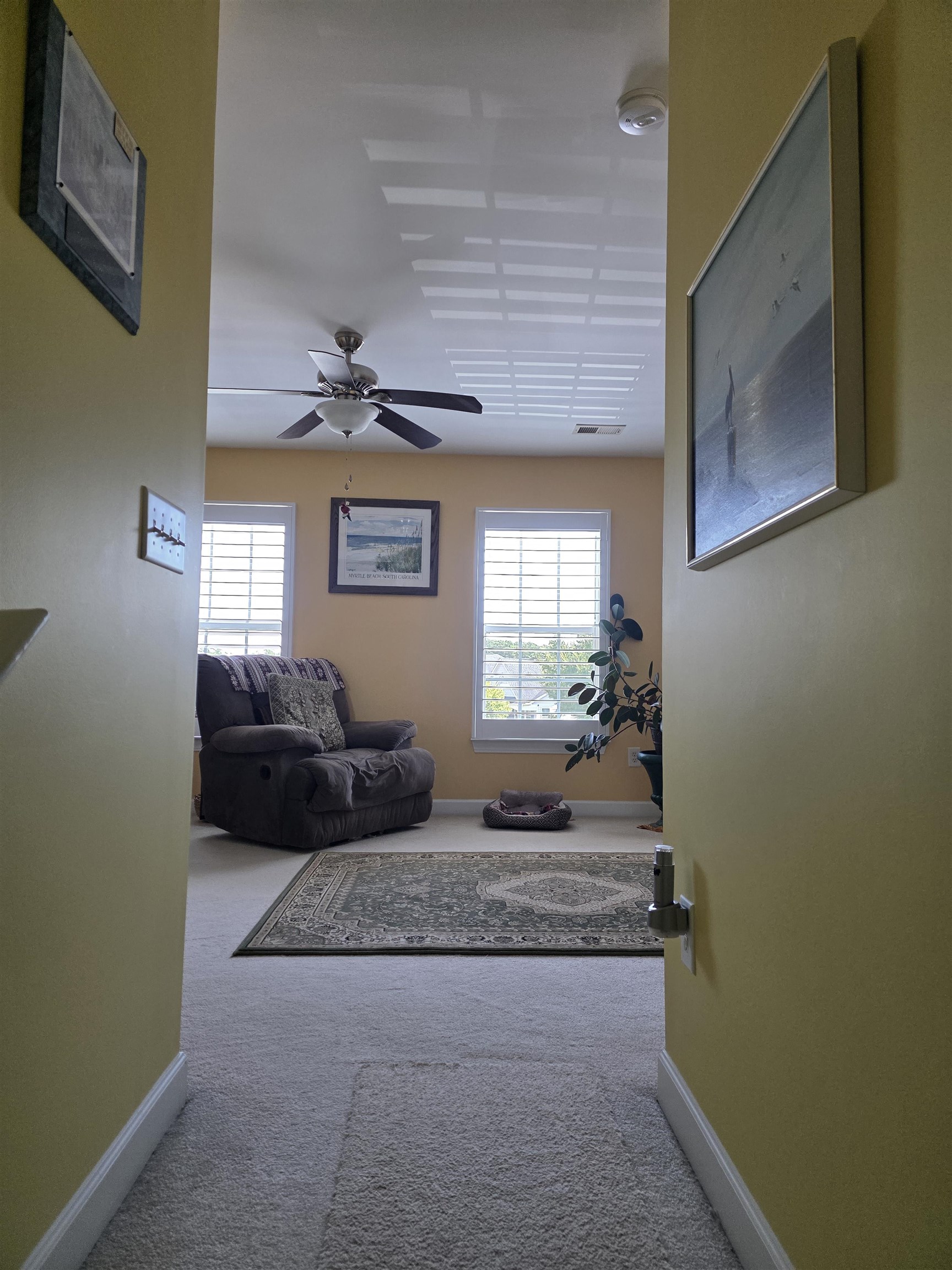 2613571 | Photo 2