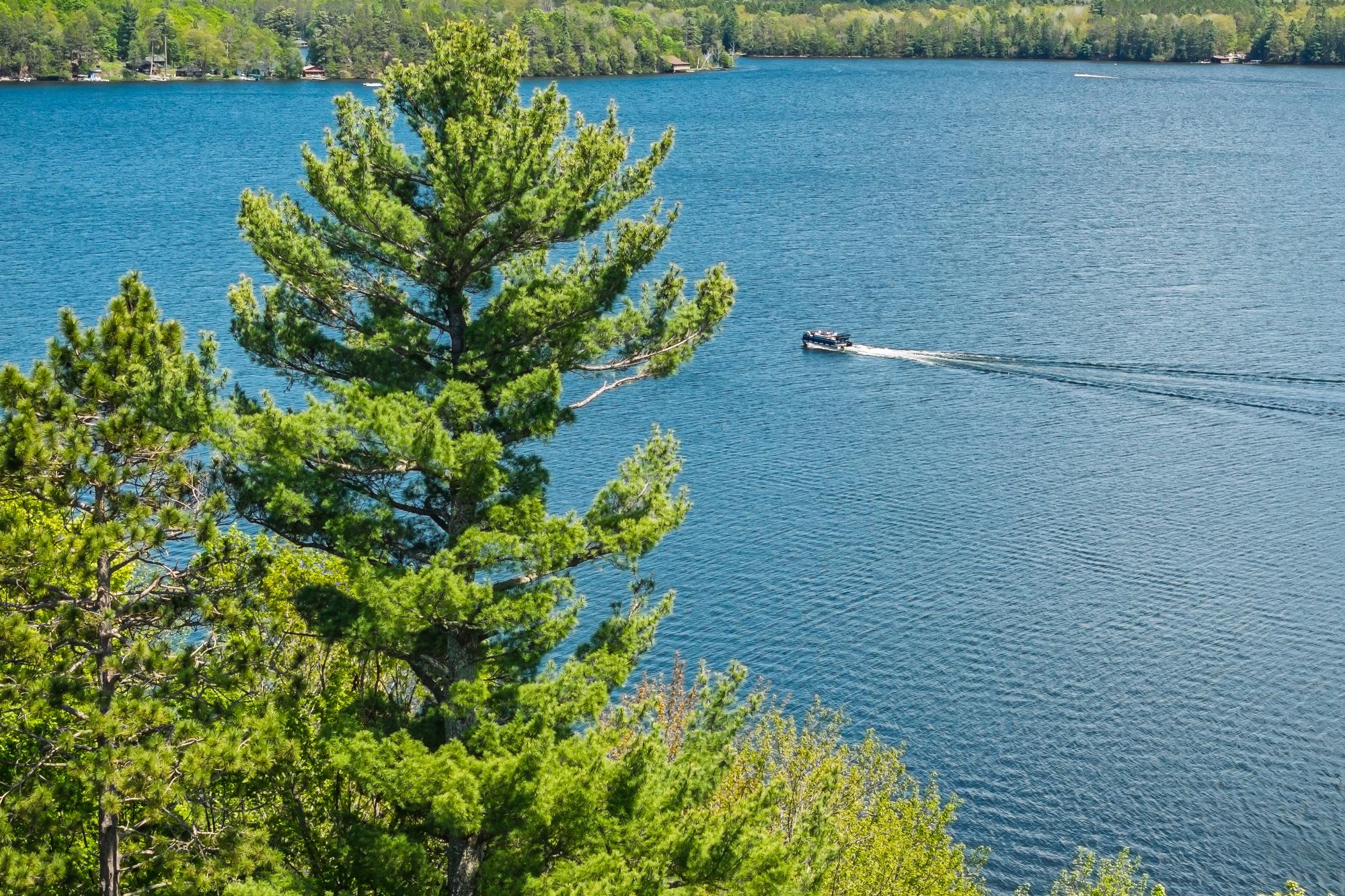 Squirrel Lake Property 12540 Windy Pines Ln Photo 17