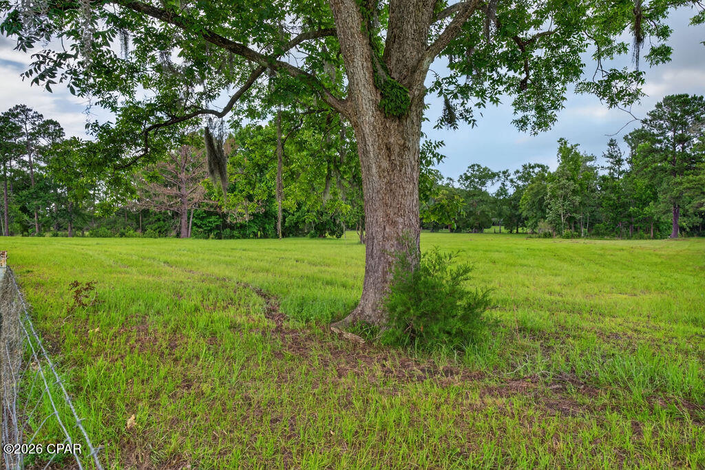 51st image of 3256 Highway 77, Chipley, FL 32428 | MLS# 790468