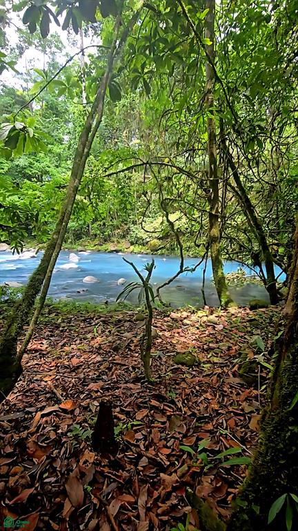  bed Land For Sale in Guatuso, Alajuela - 1