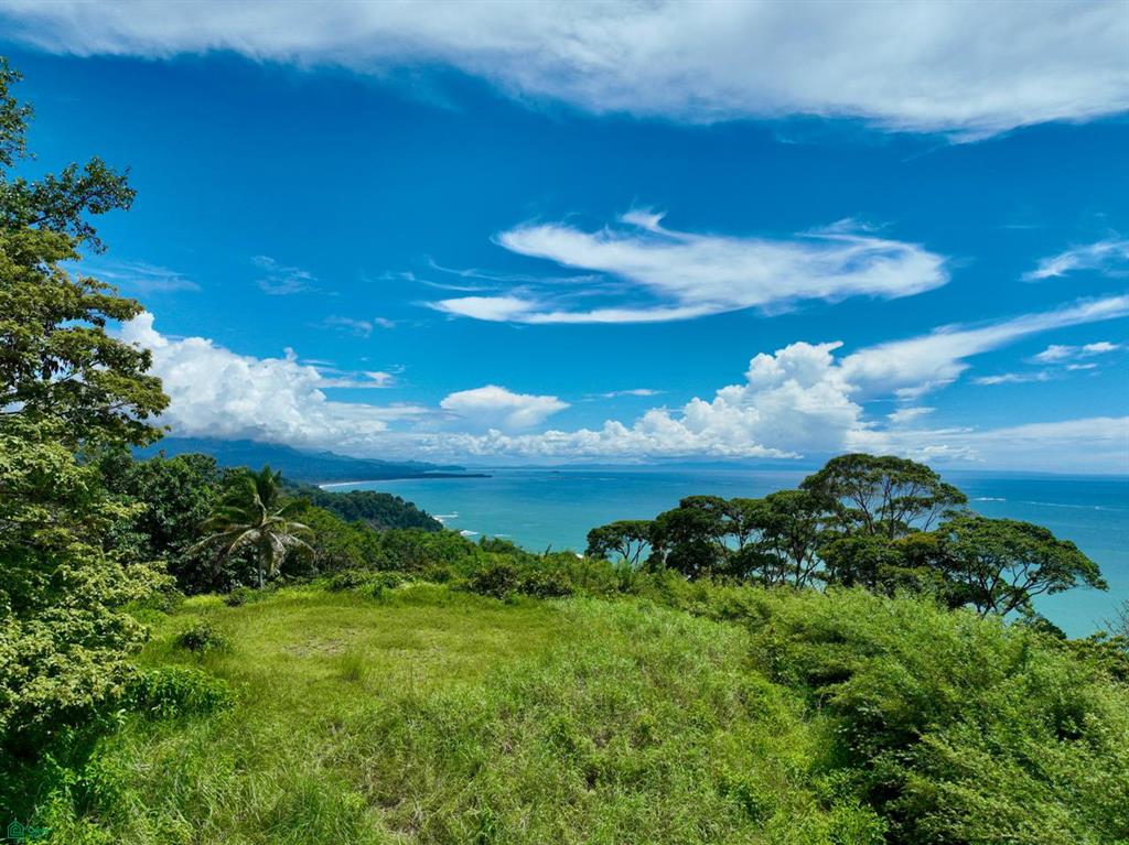  bed Land For Sale in Osa, Puntarenas - 1