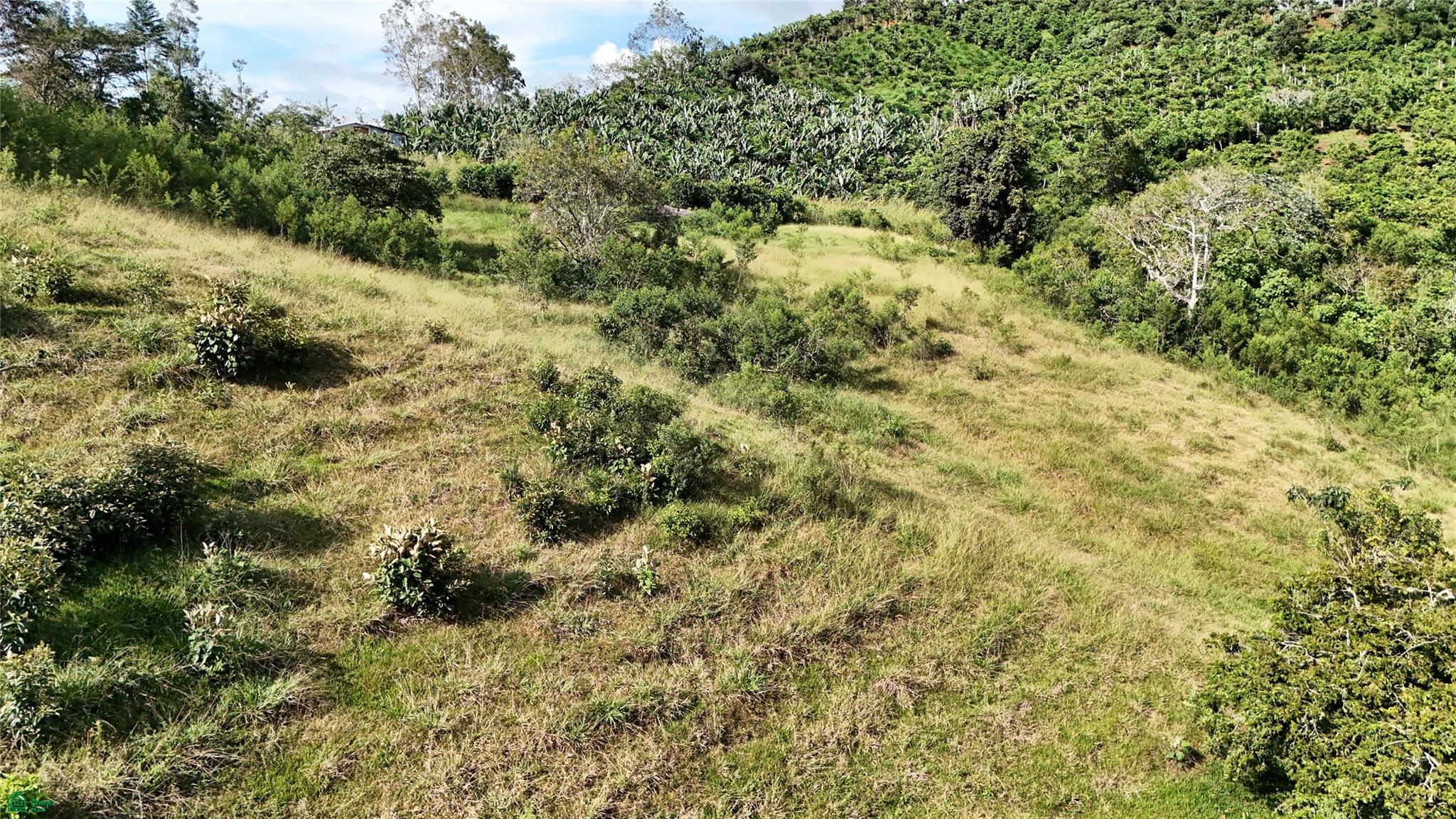  bed Land For Sale in Perez Zeledon, San Jose - 1
