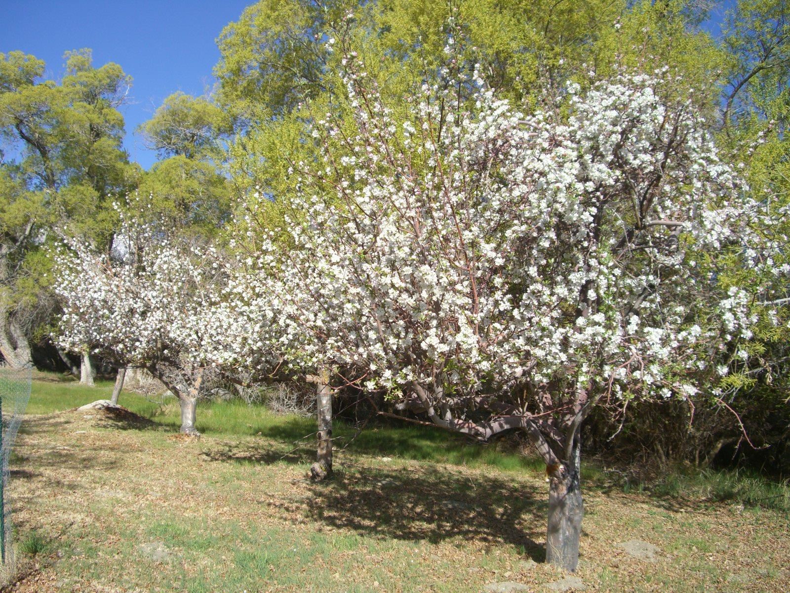 Property Photo 29