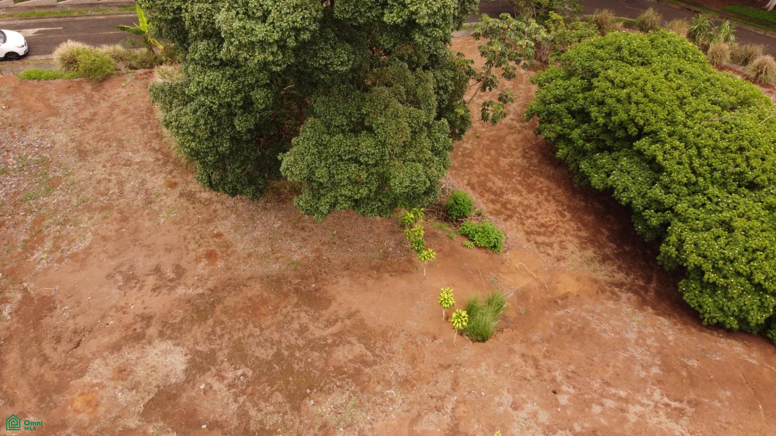 bed Land For Sale in Naranjo, Alajuela - 1