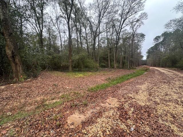 Photo 2 of Land for sale at Lot E Hunter Oaks Ln, Covington, LA 70435 | MLS# 2560539 | Listing updated on 2026-09-17