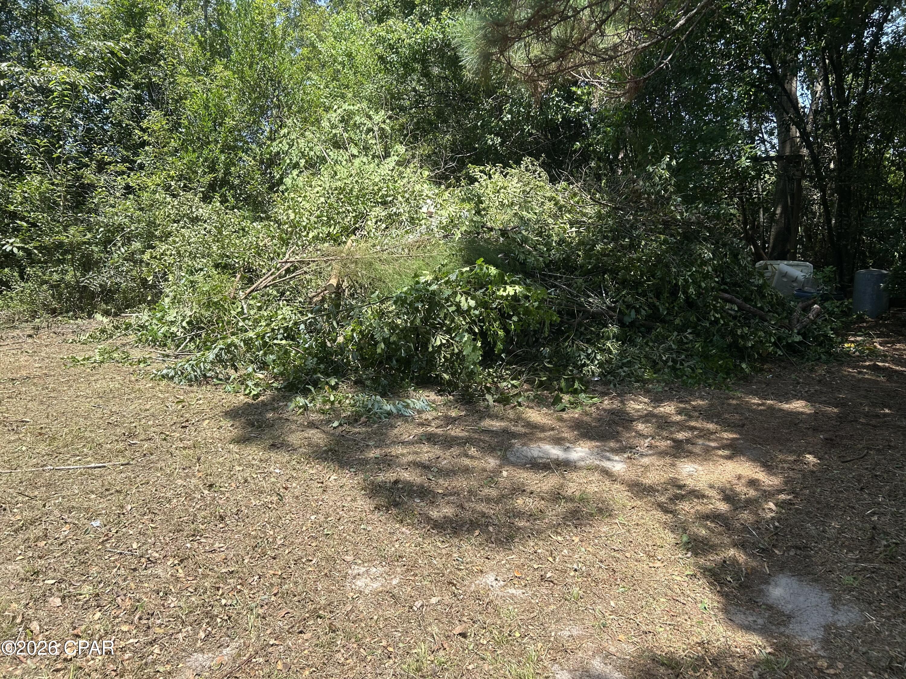 4th image of 6965 Blossom Hill Rd, Wewahitchka, FL 32465 | MLS# 790593