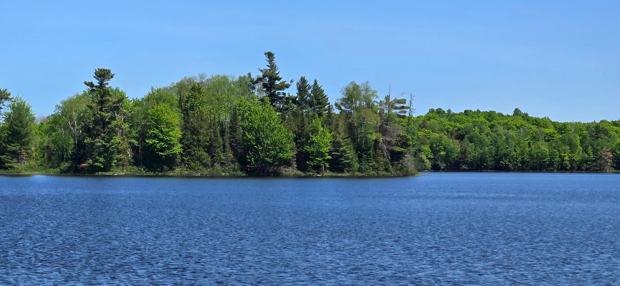 Annabelle Lake Property 11008 Sunny Shores Rd Photo 12