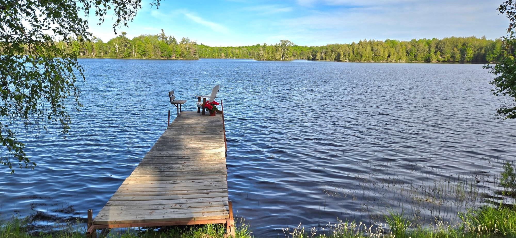 Annabelle Lake Property 11008 Sunny Shores Rd Photo 14