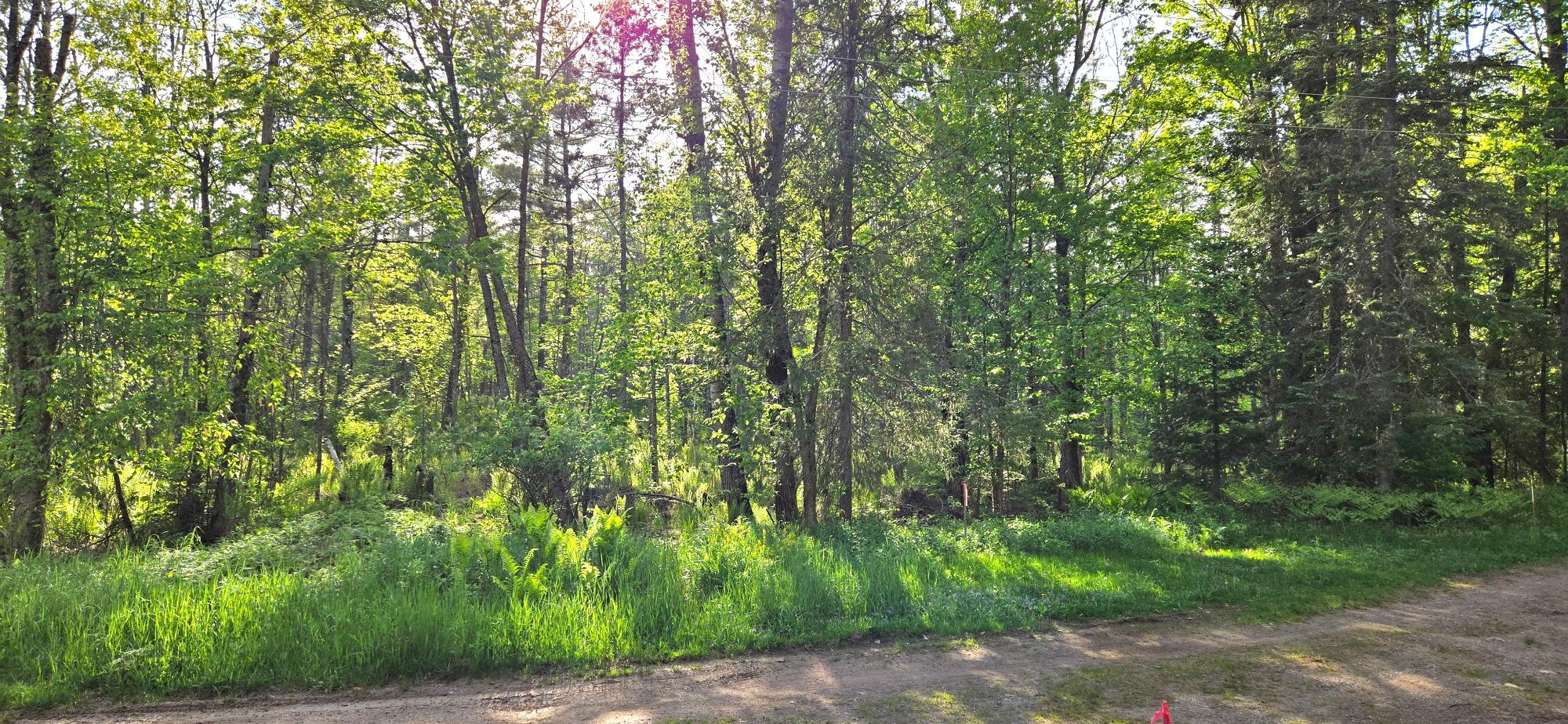 Annabelle Lake Property 11008 Sunny Shores Rd Photo 16