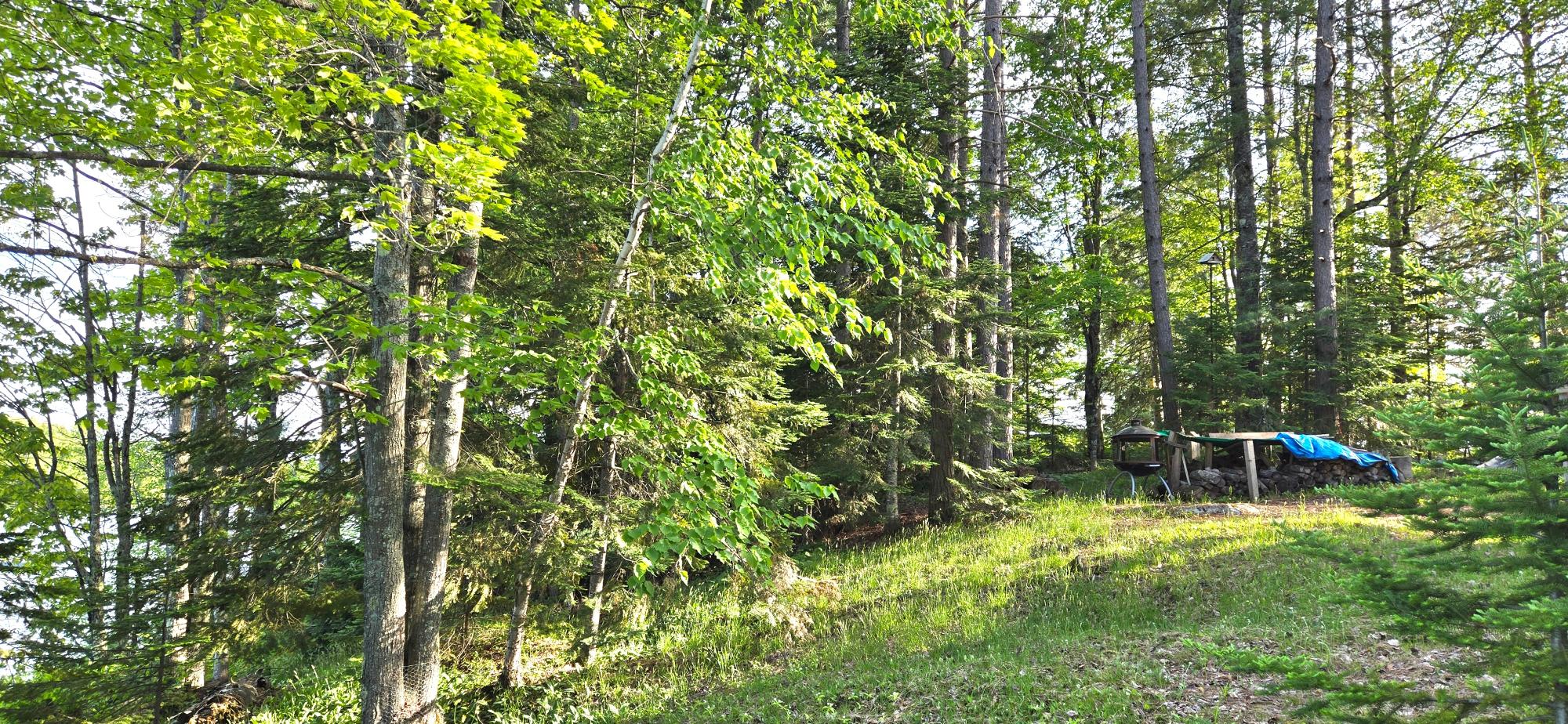 Annabelle Lake Property 11008 Sunny Shores Rd Photo 5