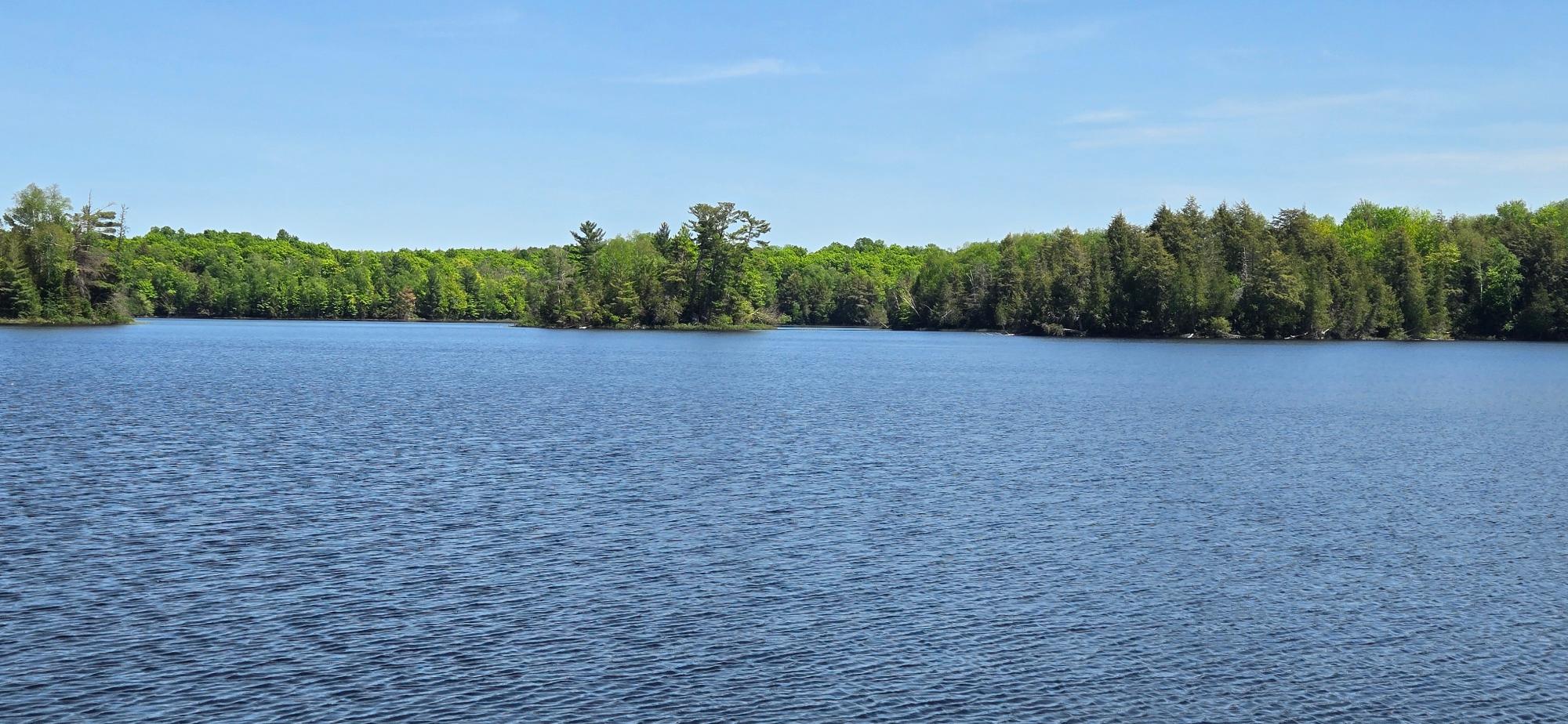 Annabelle Lake Property 11008 Sunny Shores Rd Photo 6