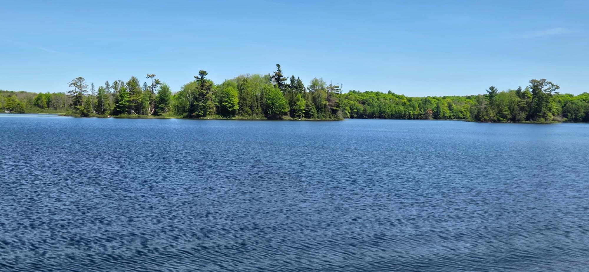 Annabelle Lake Property 11008 Sunny Shores Rd Photo 8