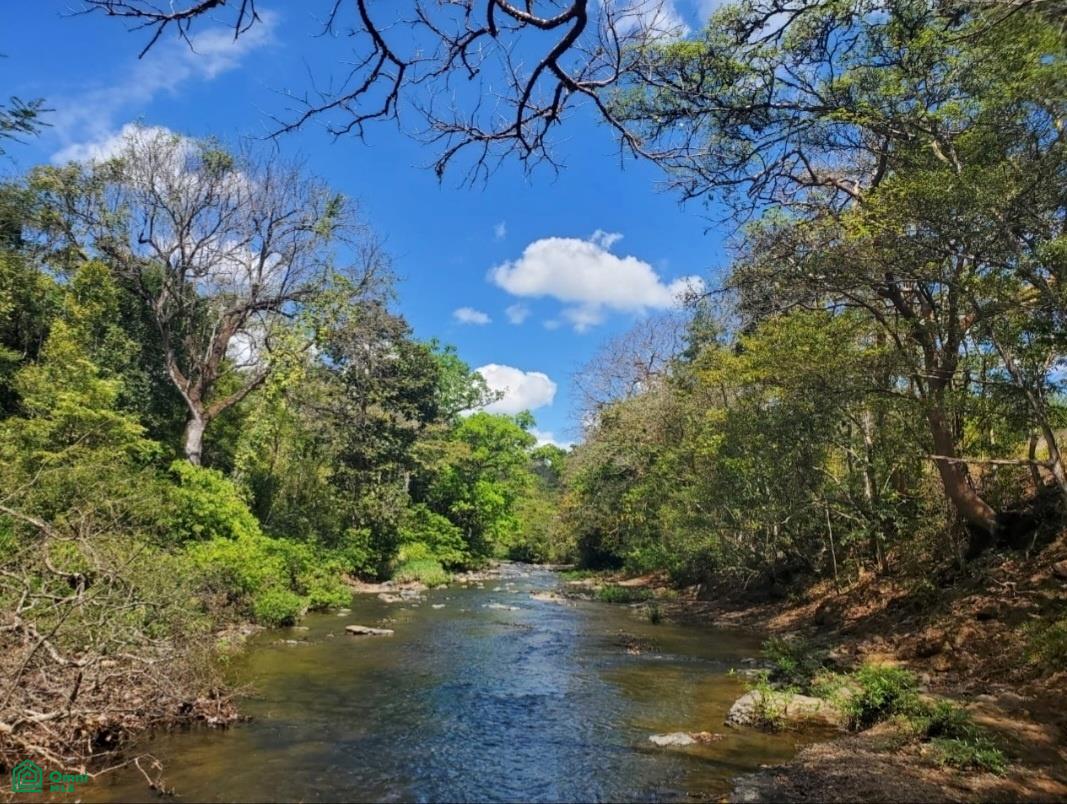 1 bed Single Family Homes For Sale in Nicoya, Guanacaste - 1