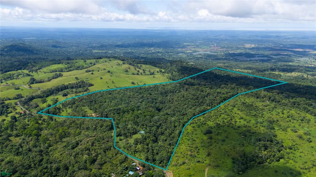 Finca Macadamia | 154-acre Rainforest Paradise with two Houses and Trails!
