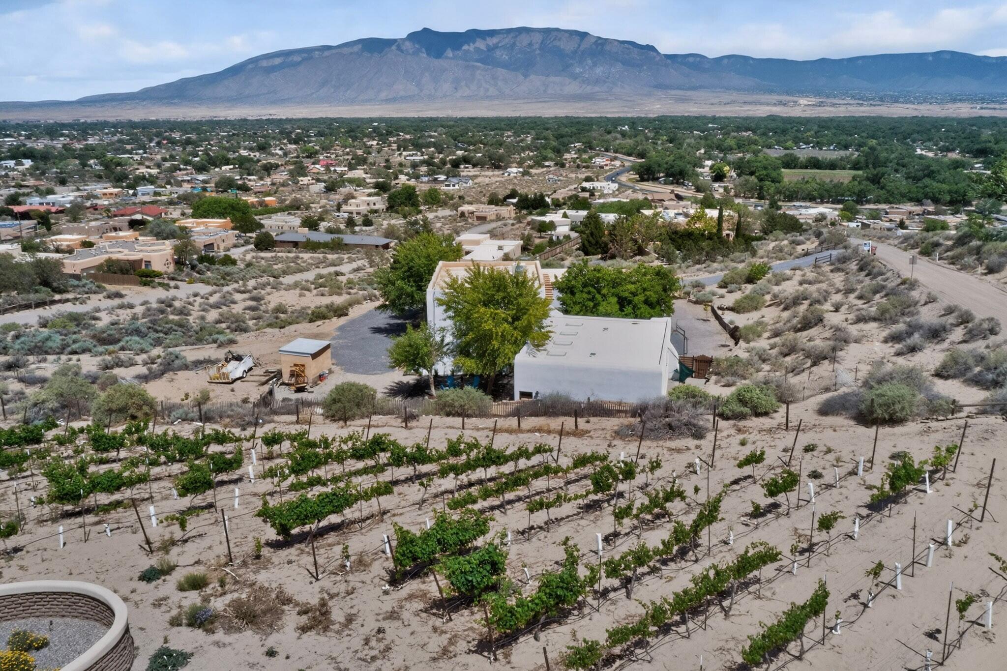 Homes for sale in Corrales, NM | 300 Chimaja Rd, Corrales, NM 87048 | MLS# 1104624