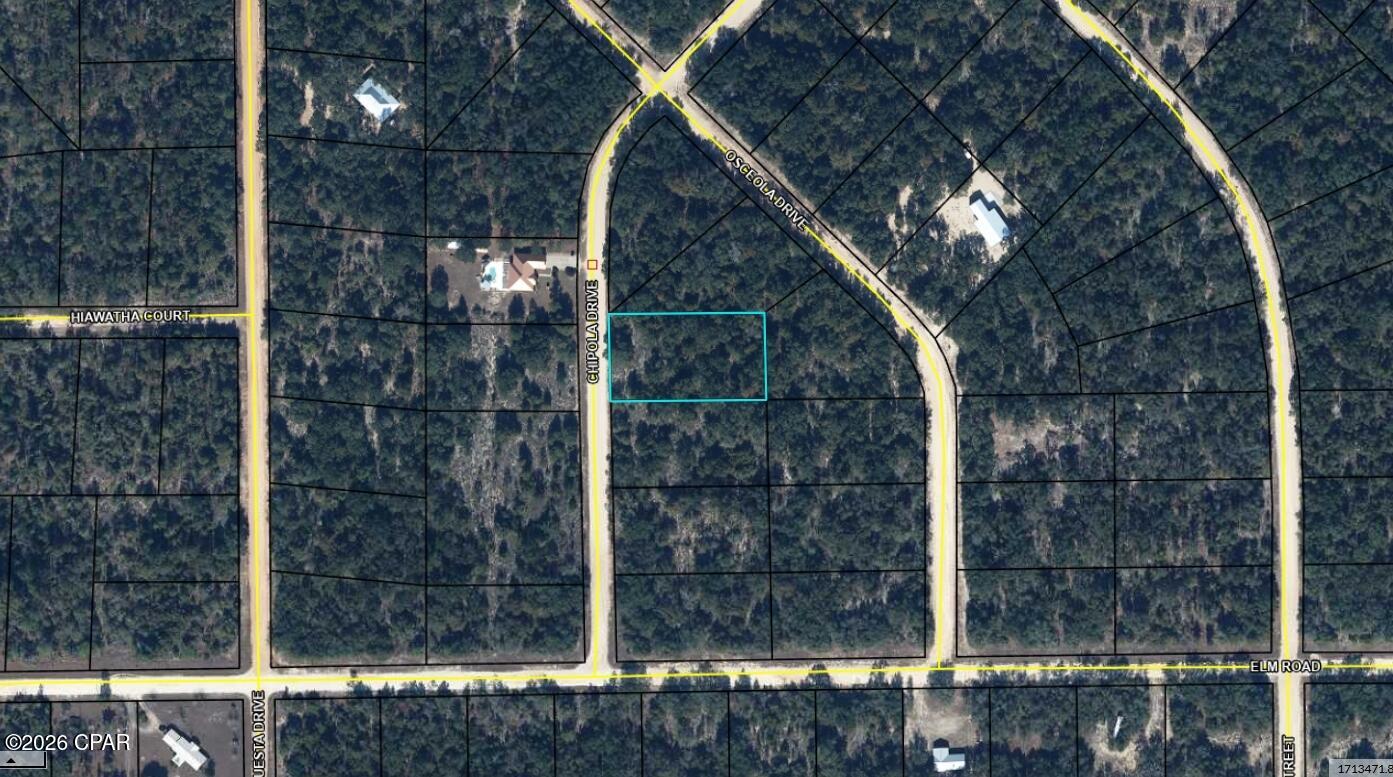 Homes for sale in Marianna, FL | Tbd Chipola Dr, Marianna, FL 32448 | MLS# 790687
