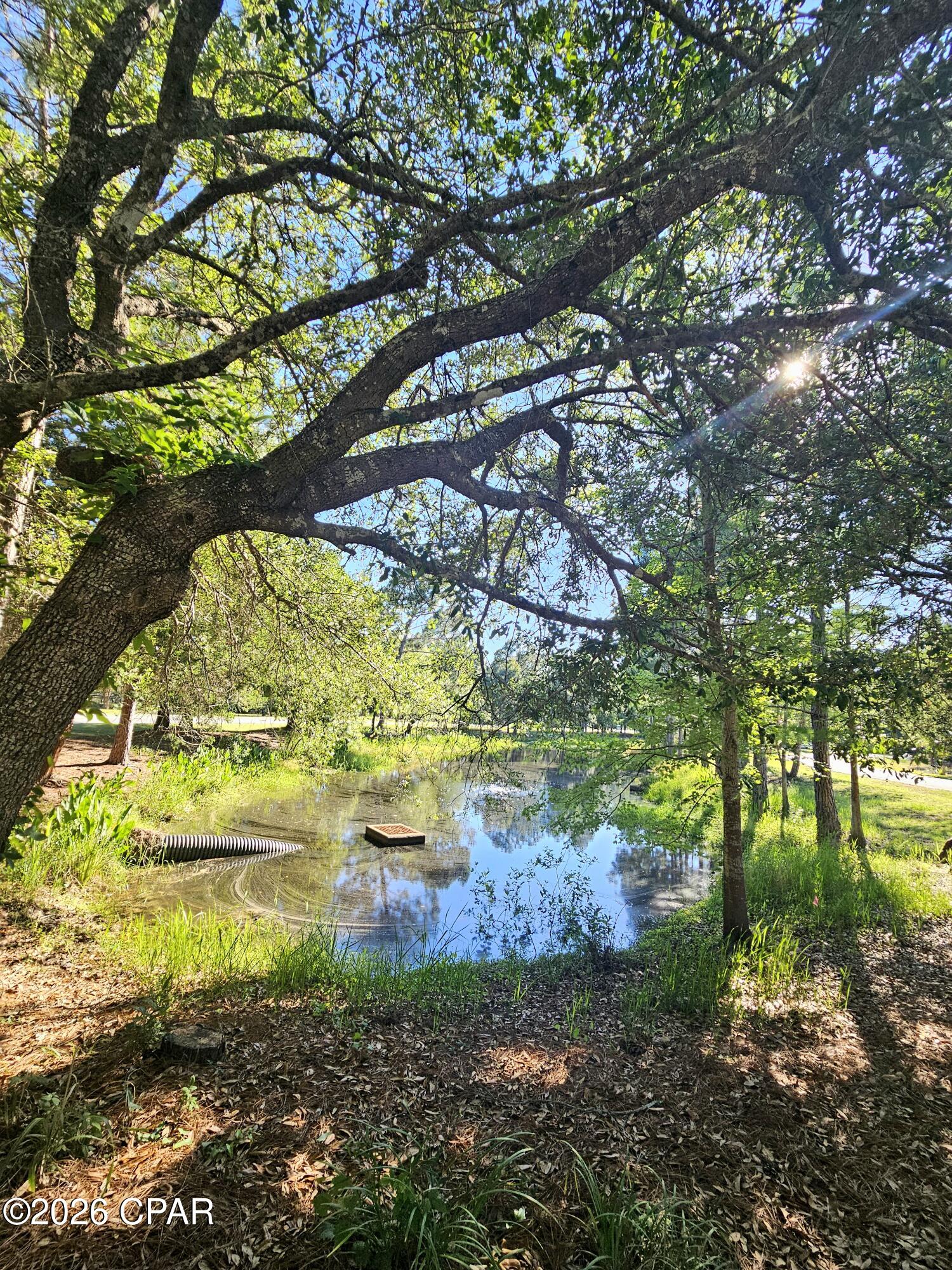 Wild Heron Phase I home at 1514 Sweet Bay Trail, Panama City Beach, FL 32413