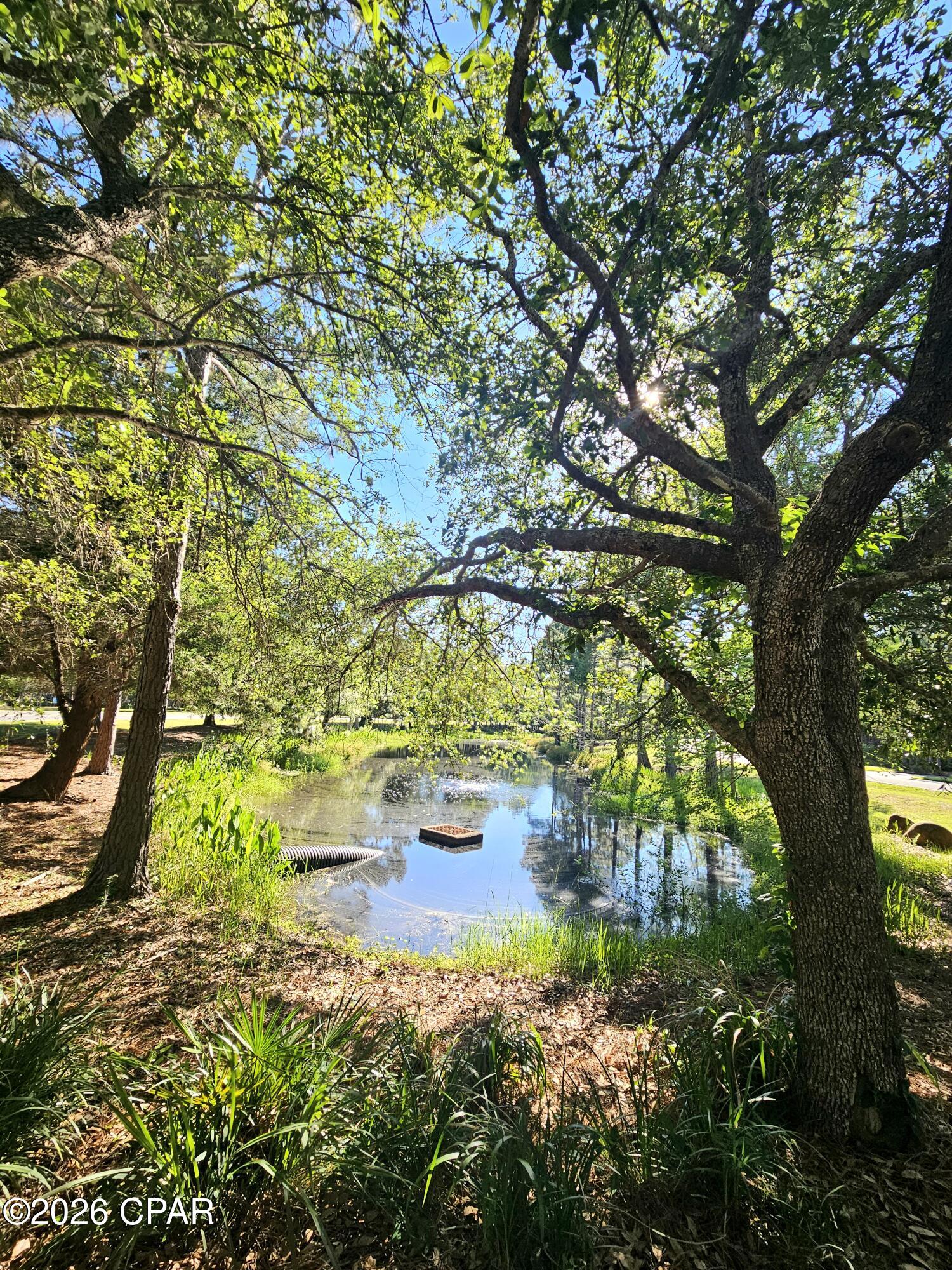 1514 Sweet Bay Trail, Panama City Beach, FL 32413 thumbnail, photo 4 of 7