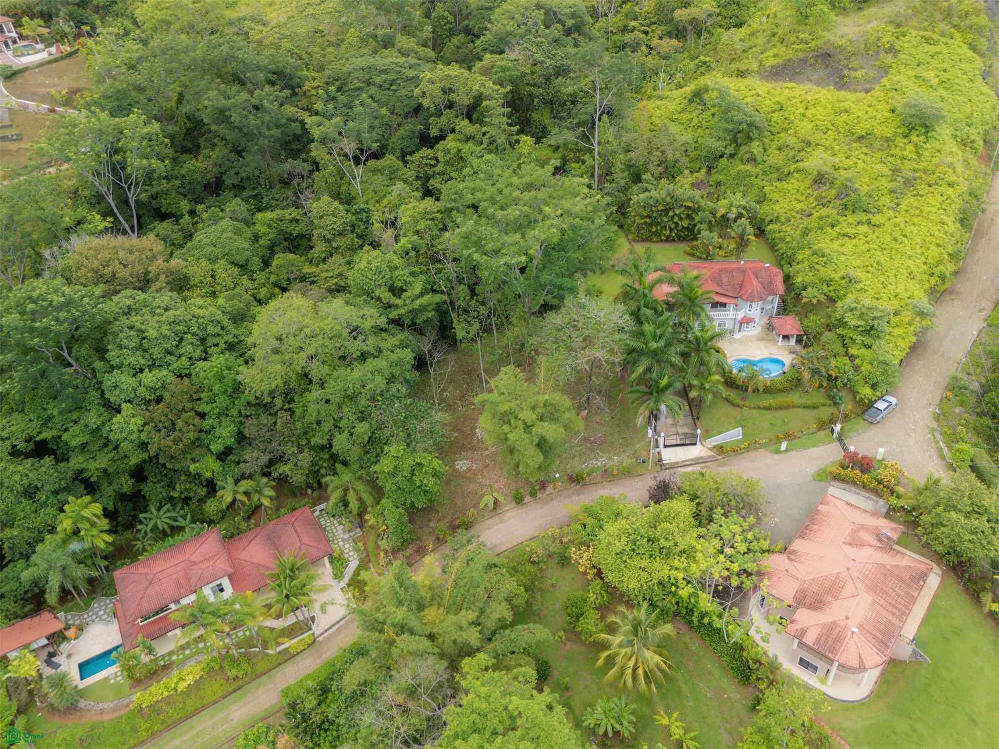  bed Land For Sale in Osa, Puntarenas - 1