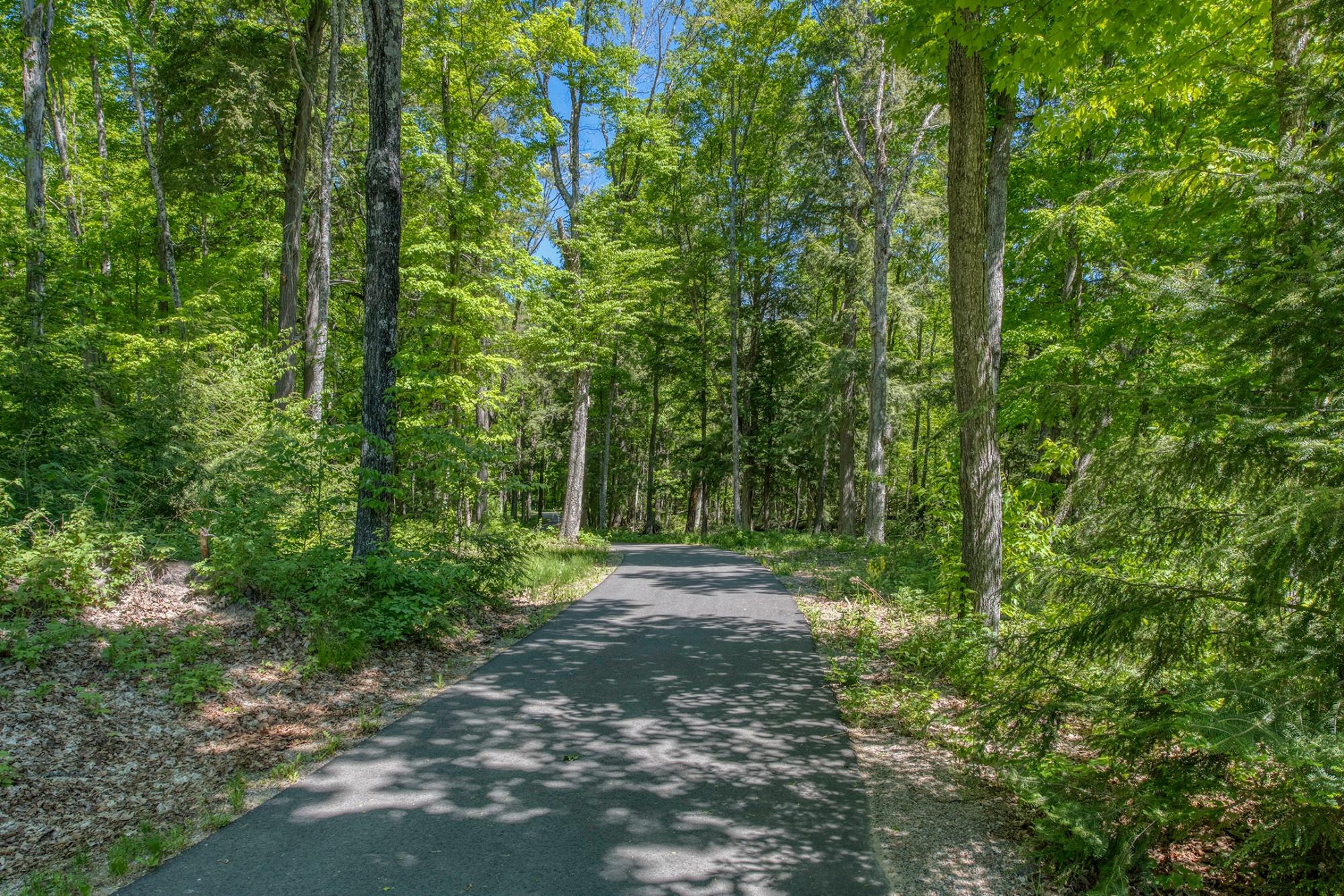 North Twin Lake Property 2913 Long Pt Photo 66
