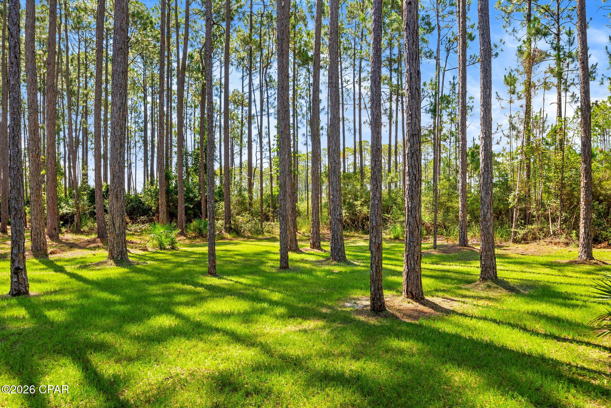 6501 Golden Aster Trail, Panama City Beach, FL 32413 thumbnail, photo 65 of 100