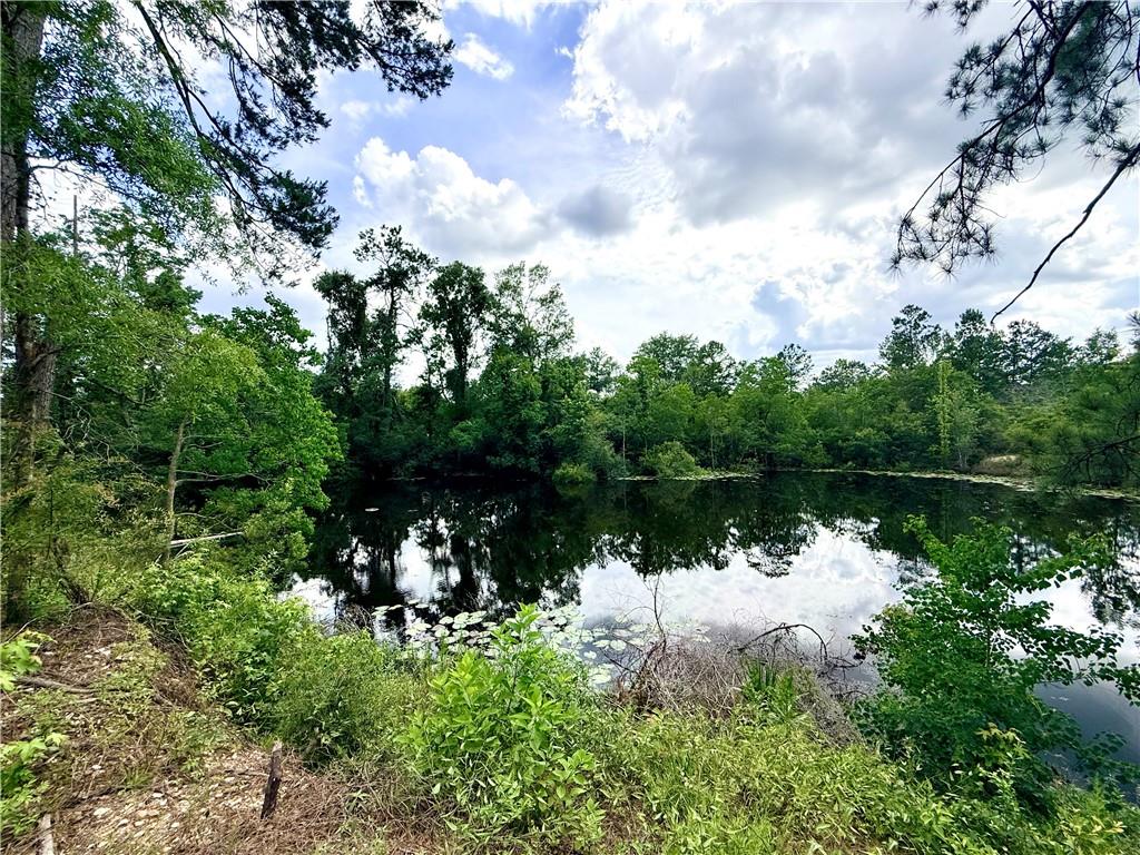 33rd image of 18013 16 Hwy, Franklinton, LA 70438 | MLS# 2561503