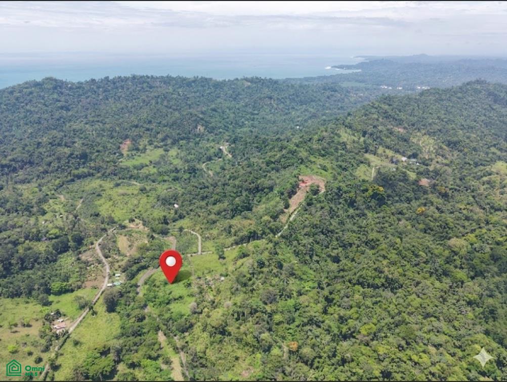  bed Land For Sale in Talamanca, Limon - 1
