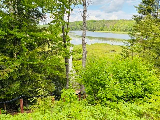 Upper Post Lake Property 670 Mcguire Rd Photo 49