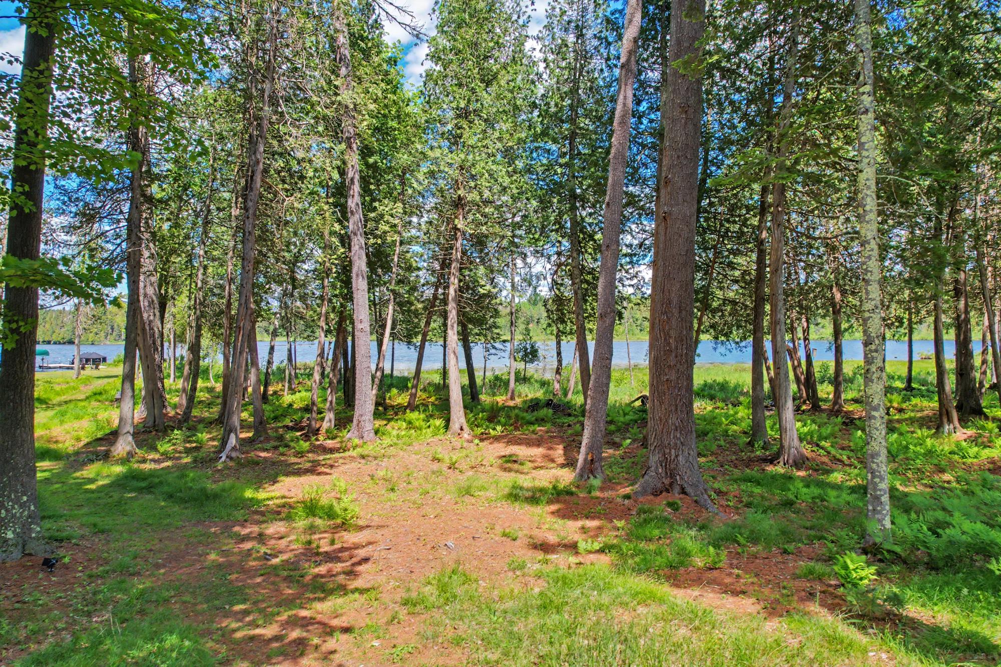 Fourmile Lake Property 8004 Four Mile Lake Rd Photo 36