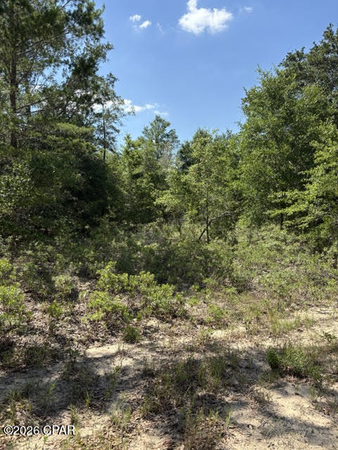 Homes for sale in Alford, FL | 00 Pasofino Ln #M-2, Alford, FL 32420 | MLS# 790941