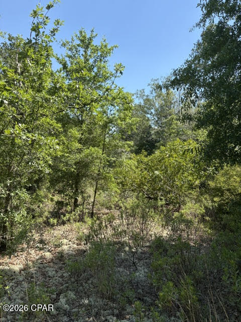 Homes for sale in Alford, FL | 00 Pasofino Ln #M-2, Alford, FL 32420 | MLS# 790941
