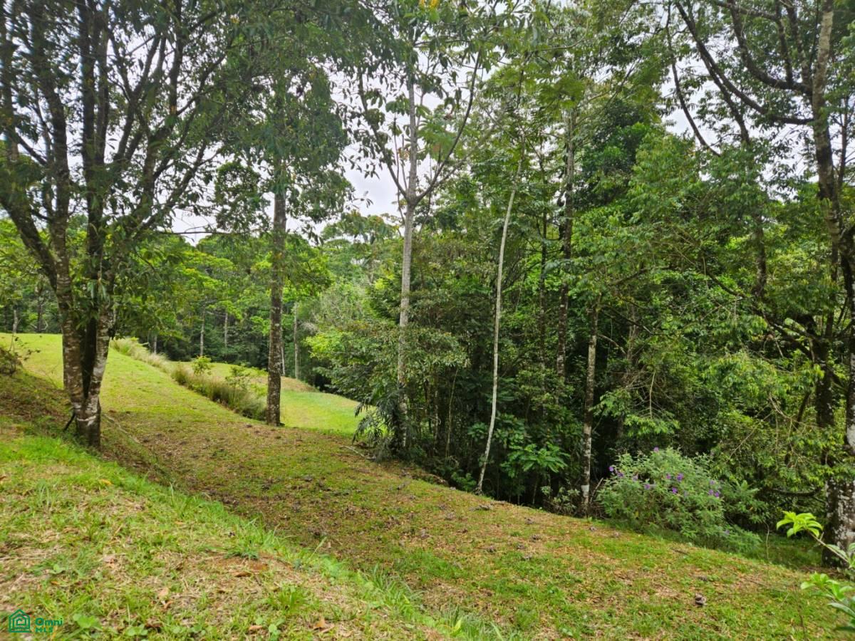 0 bed Land For Sale in San Carlos, Alajuela - 1