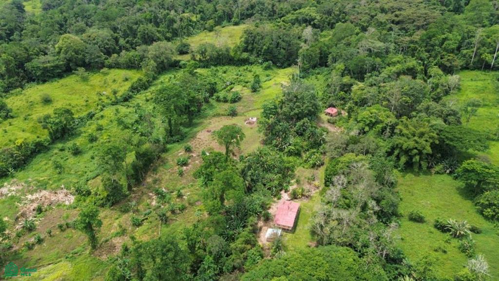 0 bed Land For Sale in Siquirres, Limon - 1