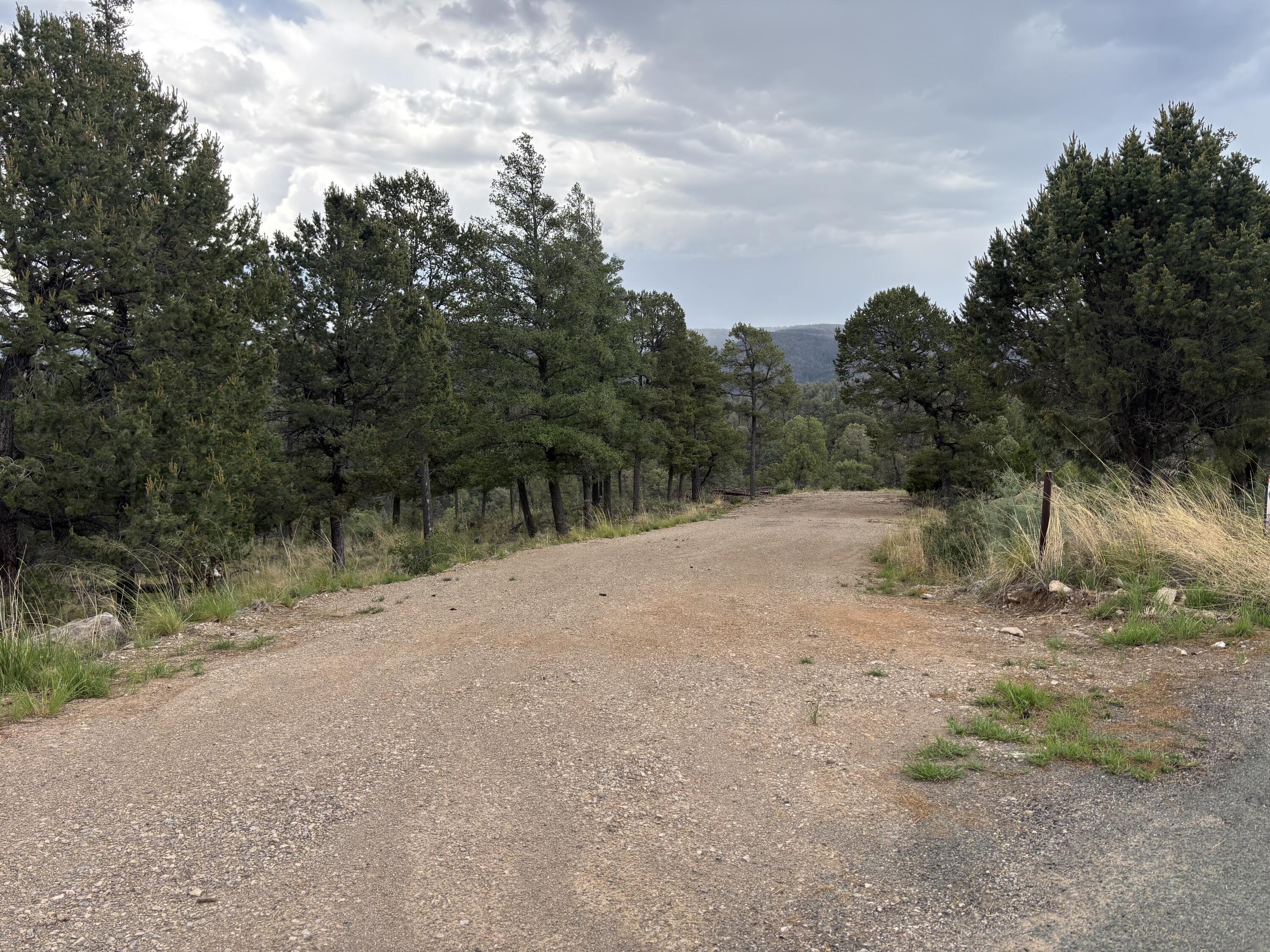 Homes for sale in Ruidoso, NM | 146 Guenevere Ave, Ruidoso, NM 88345 | MLS# 1105102