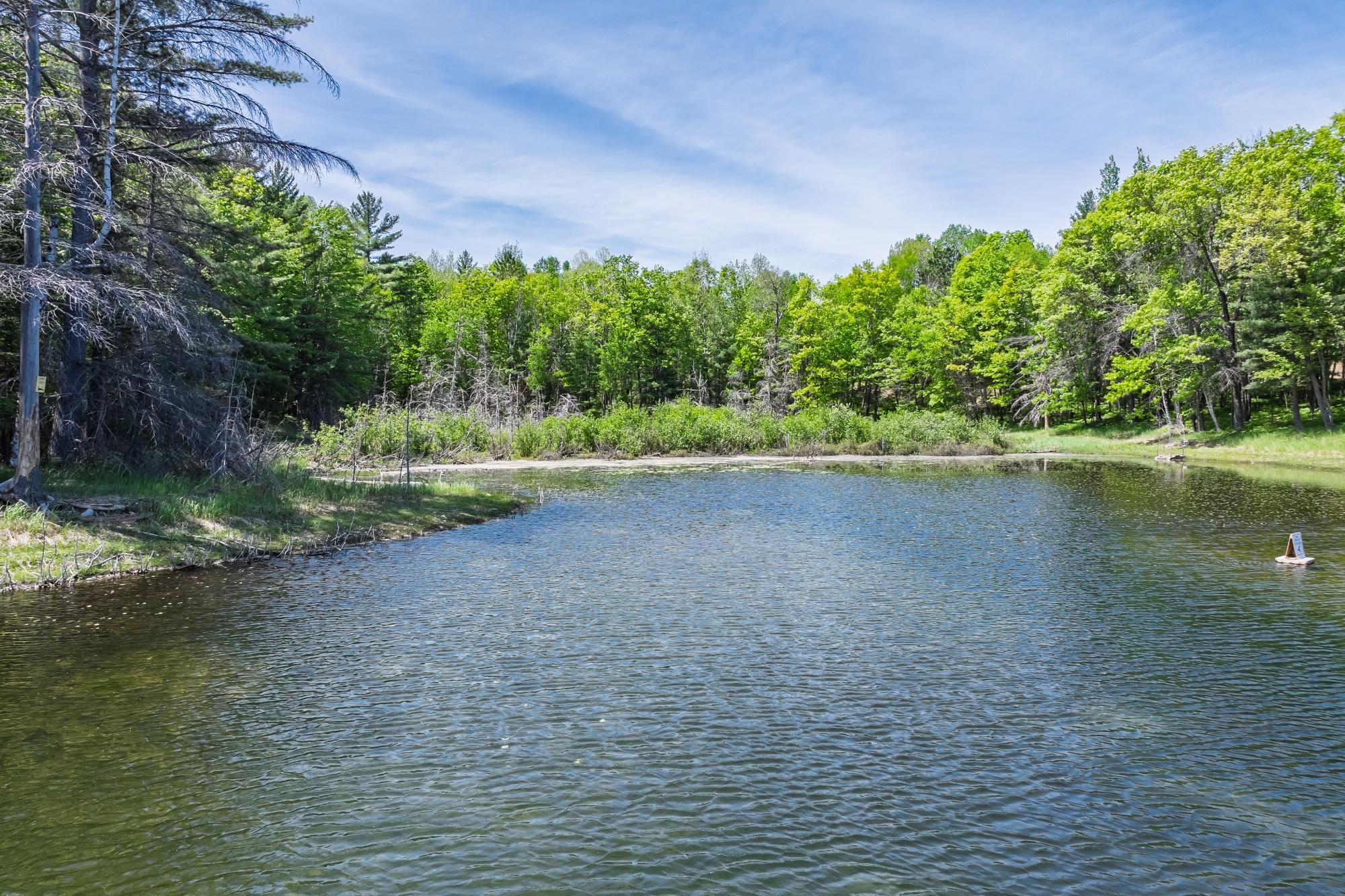 Perch Lake ER Property 1210 Deer Trail Ln Photo 37