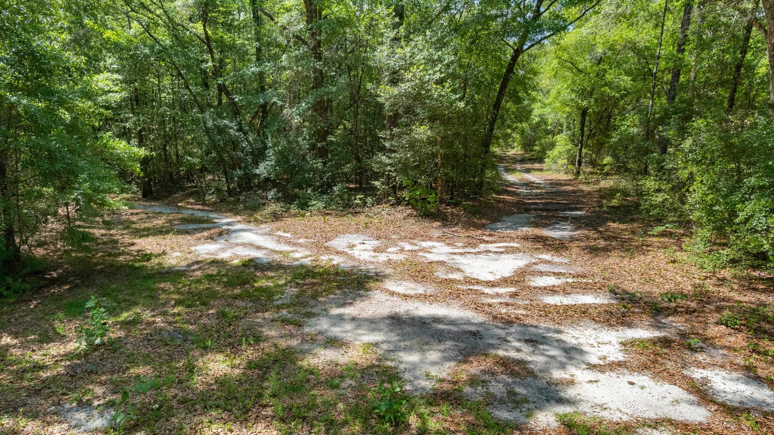 21204  John Ford Lane N/A, Tallahassee, FL, 