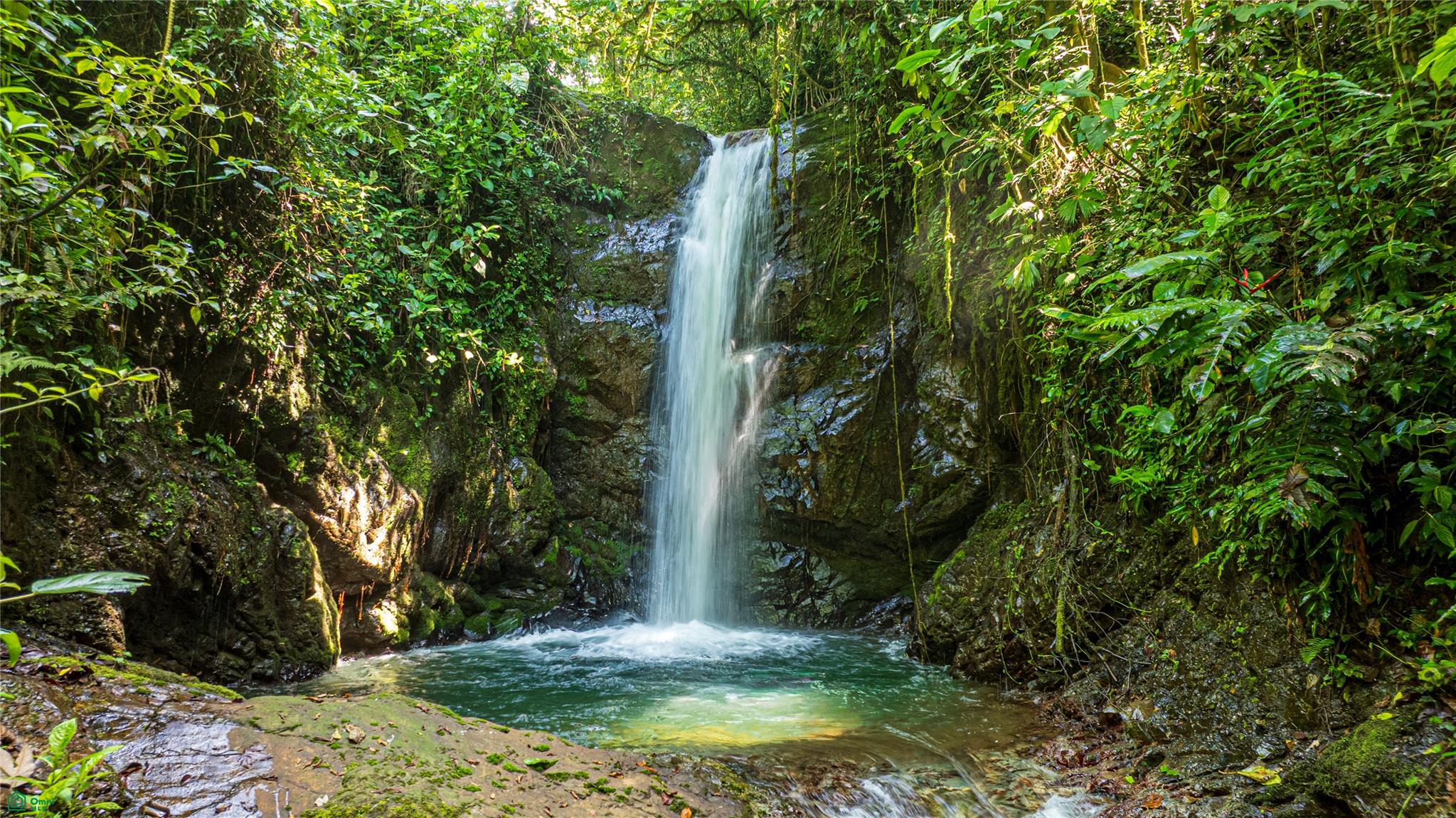  bed Land For Sale in Perez Zeledon, San Jose - 1