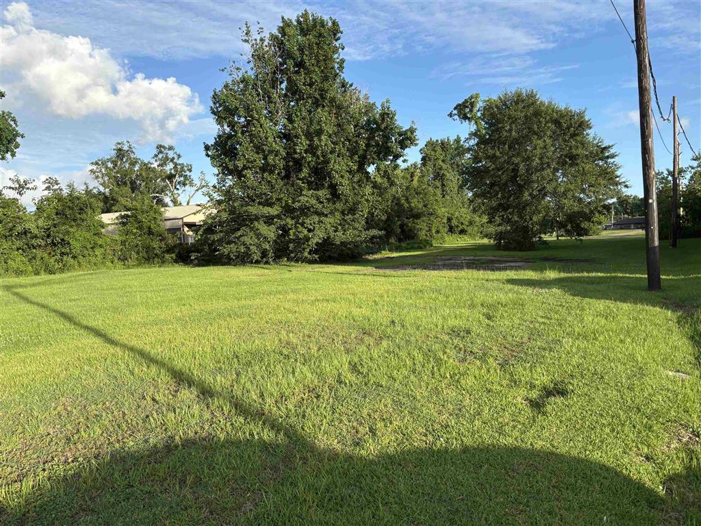 2020 Carr Lane — photo 4