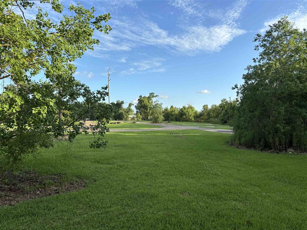 2020 Carr Lane — photo 5