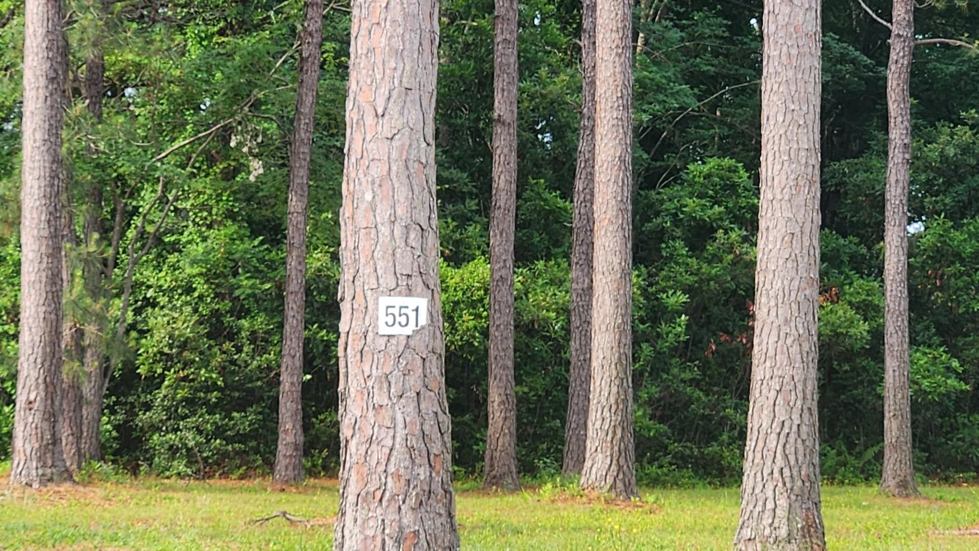 2614835 | Photo 2